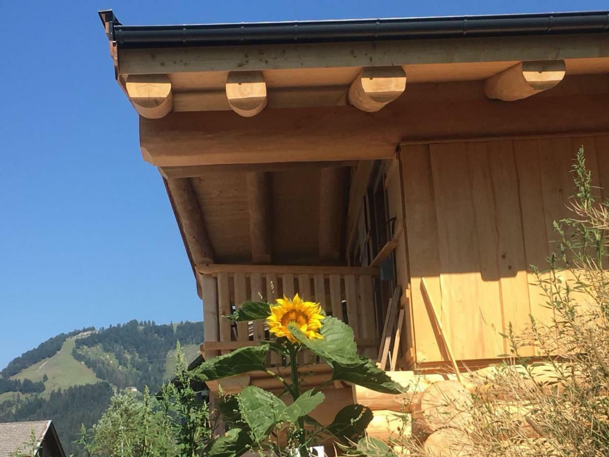 Chalet Karin Hochfilzen Esterno foto